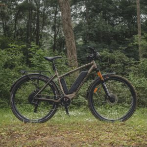 bicicleta eletrica e dobravel​